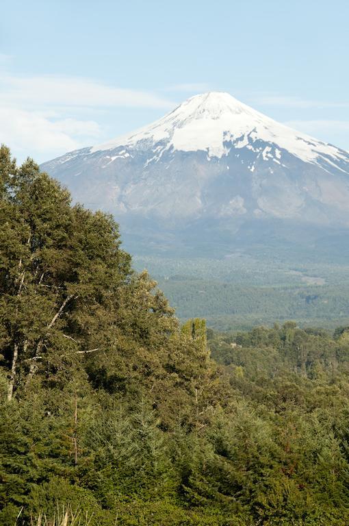 Cabanas Patagonia Lefun Pucón المظهر الخارجي الصورة