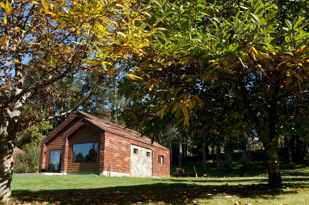 Cabanas Patagonia Lefun Pucón المظهر الخارجي الصورة