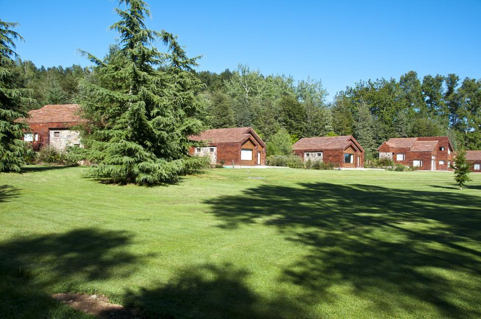 Cabanas Patagonia Lefun Pucón المظهر الخارجي الصورة