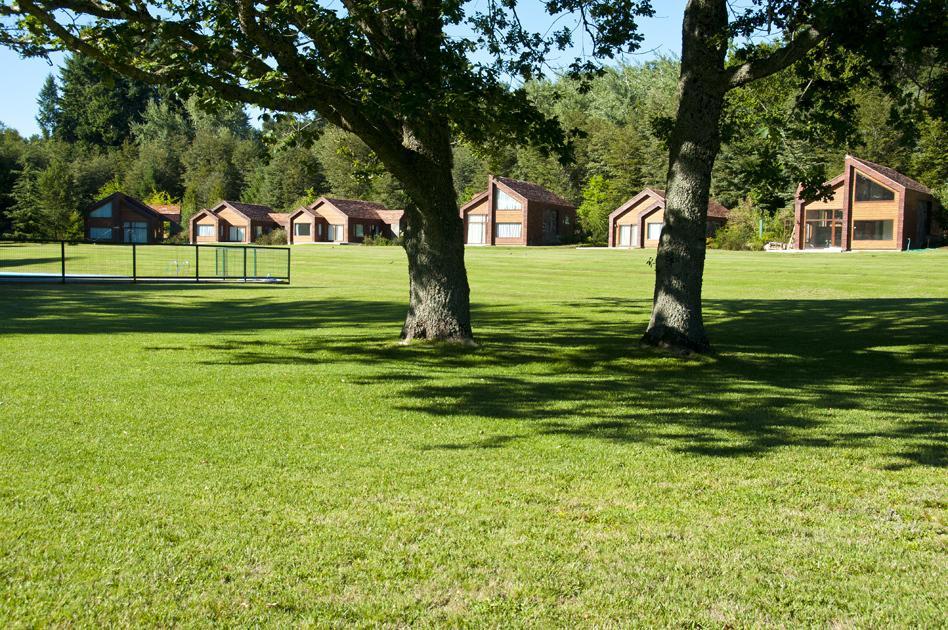 Cabanas Patagonia Lefun Pucón المظهر الخارجي الصورة